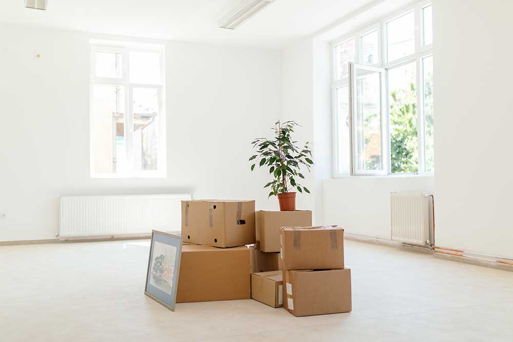 Två personer damsuger under en soffa